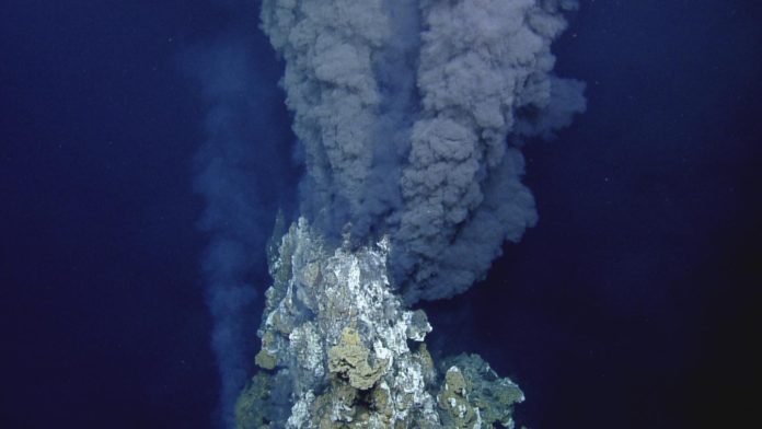 162764_web Deep-sea fish use hydrothermal vents to incubate eggs deep sea ecosystems