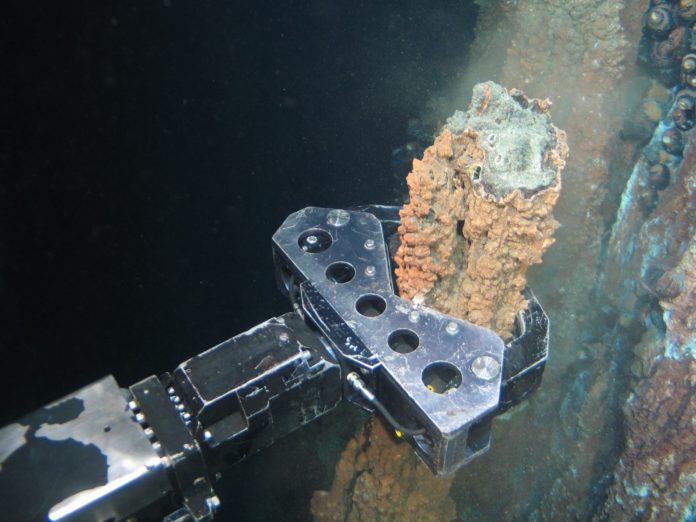 Nautilus sampling DSM Observer deep sea mining