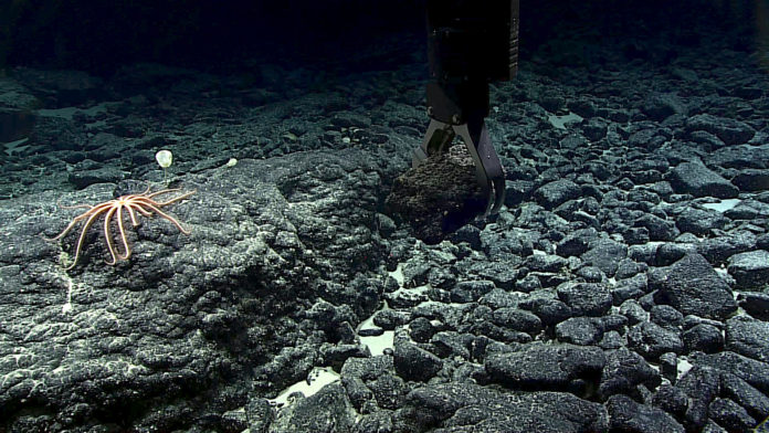 Mountains in the Deep: Exploring the Central Pacific Basin