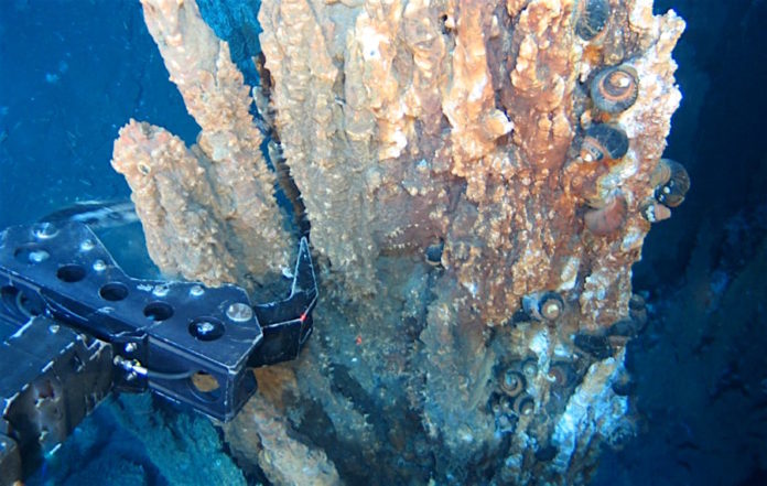 new-zealand-deep-sea-life-needs-better-protection-from-mining-study-shows seabed mining approved