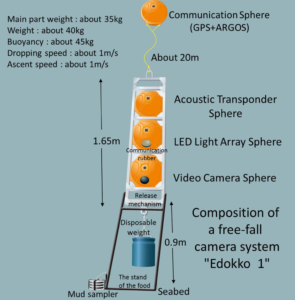 deep sea monitoring