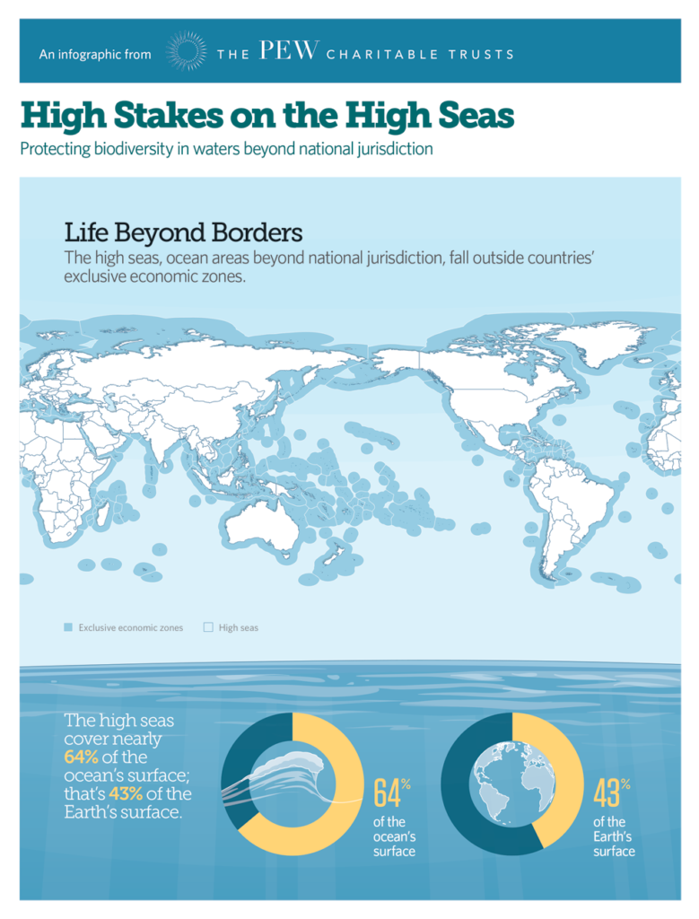 Negotiations Start On A High Seas Treaty Dsm Observer