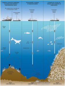 Seabed mining could destroy ecosystems