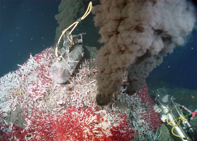 Hydrothermal vent covered in tube worms.
