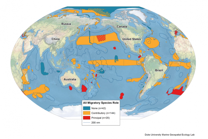 Screen-Shot-2018-09-04-at-13.04.26 Map Key: Red: 10% of concentrated biodiversity (the most important habitats and feeding grounds for migratory species), Yellow: 70% of biodiversity (areas of importance for migratory species), Deep blue: areas not important for migratory species.