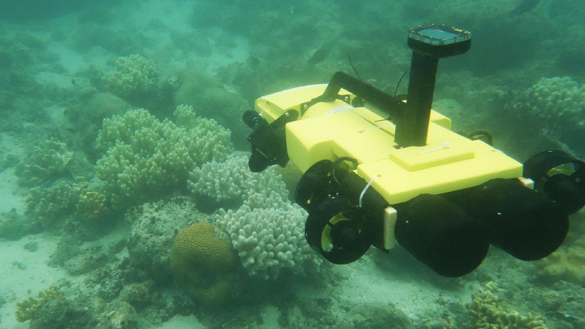 If commercial mining of seabeds is to prove viable, specialist machinery such as robot submarines will need to be developed. AFP