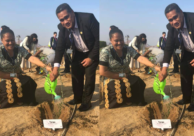 CEO Paula Ma'u (R) and Ta'hirih Fifita Hokafonu. - ‘Olive Tree planting by the Red Sea in Egypt - The purpose for was to contribute to the efforts of biodiversity through planting olive trees at the Peace and Environment Museum or known as the Peace Park. It was also in support of the “Post-2020 Global Biodiversity Framework and Vision to 2050” for Egypt with suggestion to revisit it after 25 years marking the collective efforts of the member countries. Photo/Facebook