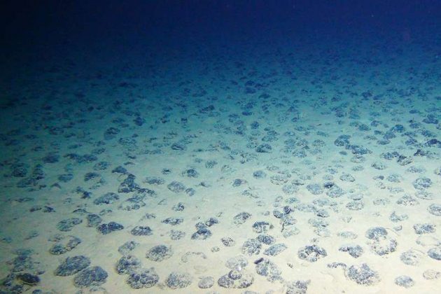 Deep-sea mining could wreck the last unexplored ecosystem on Earth ...

